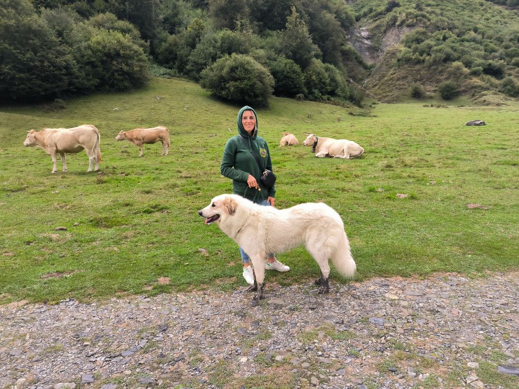 Sai la petite ferme de wihr