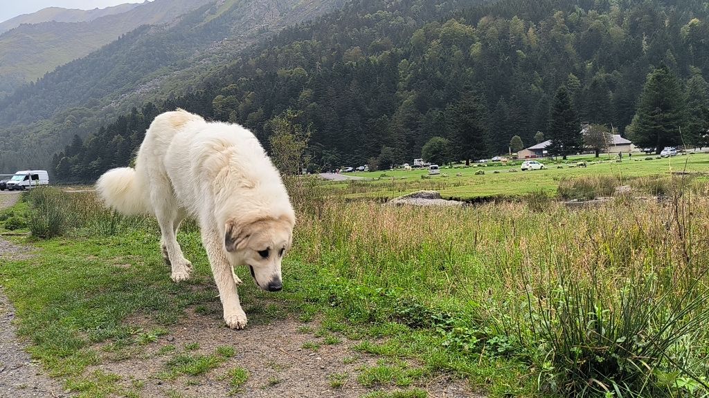 Sai la petite ferme de wihr