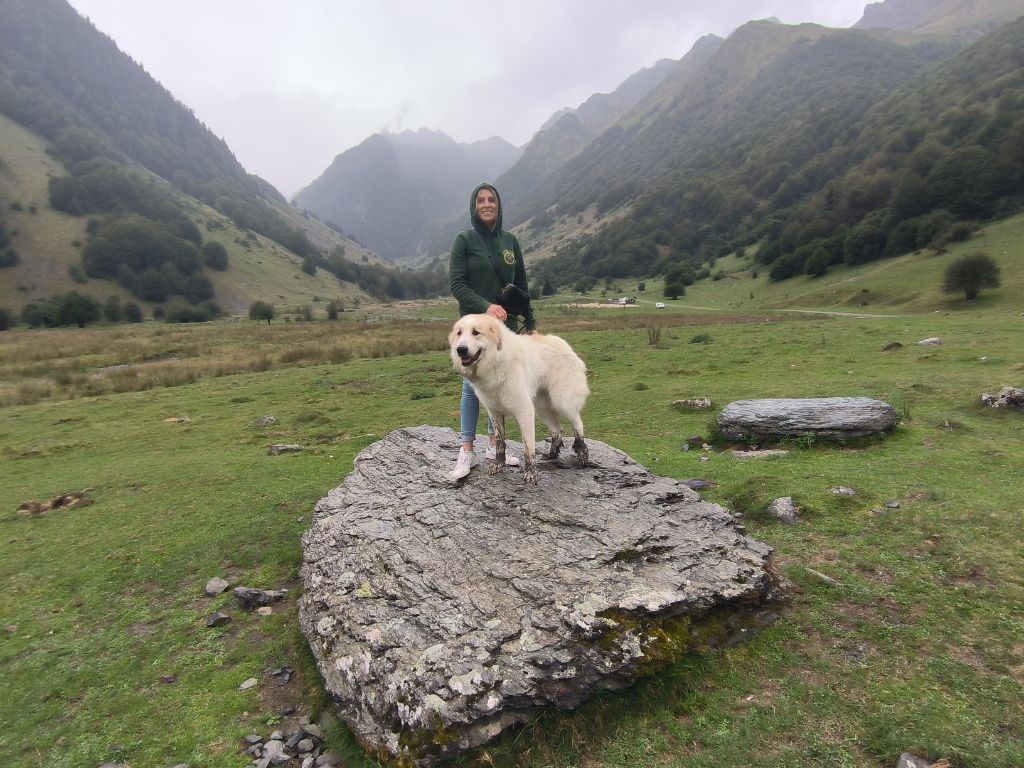 Sai la petite ferme de wihr